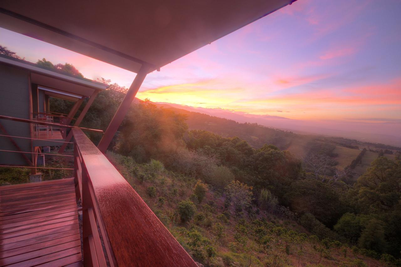 Chayote Lodge Zarcero Εξωτερικό φωτογραφία