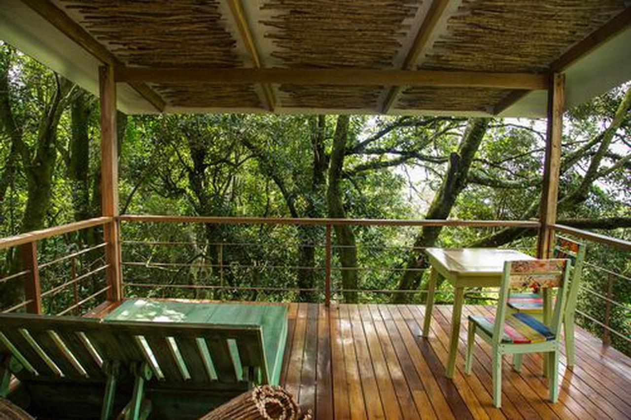 Chayote Lodge Zarcero Εξωτερικό φωτογραφία